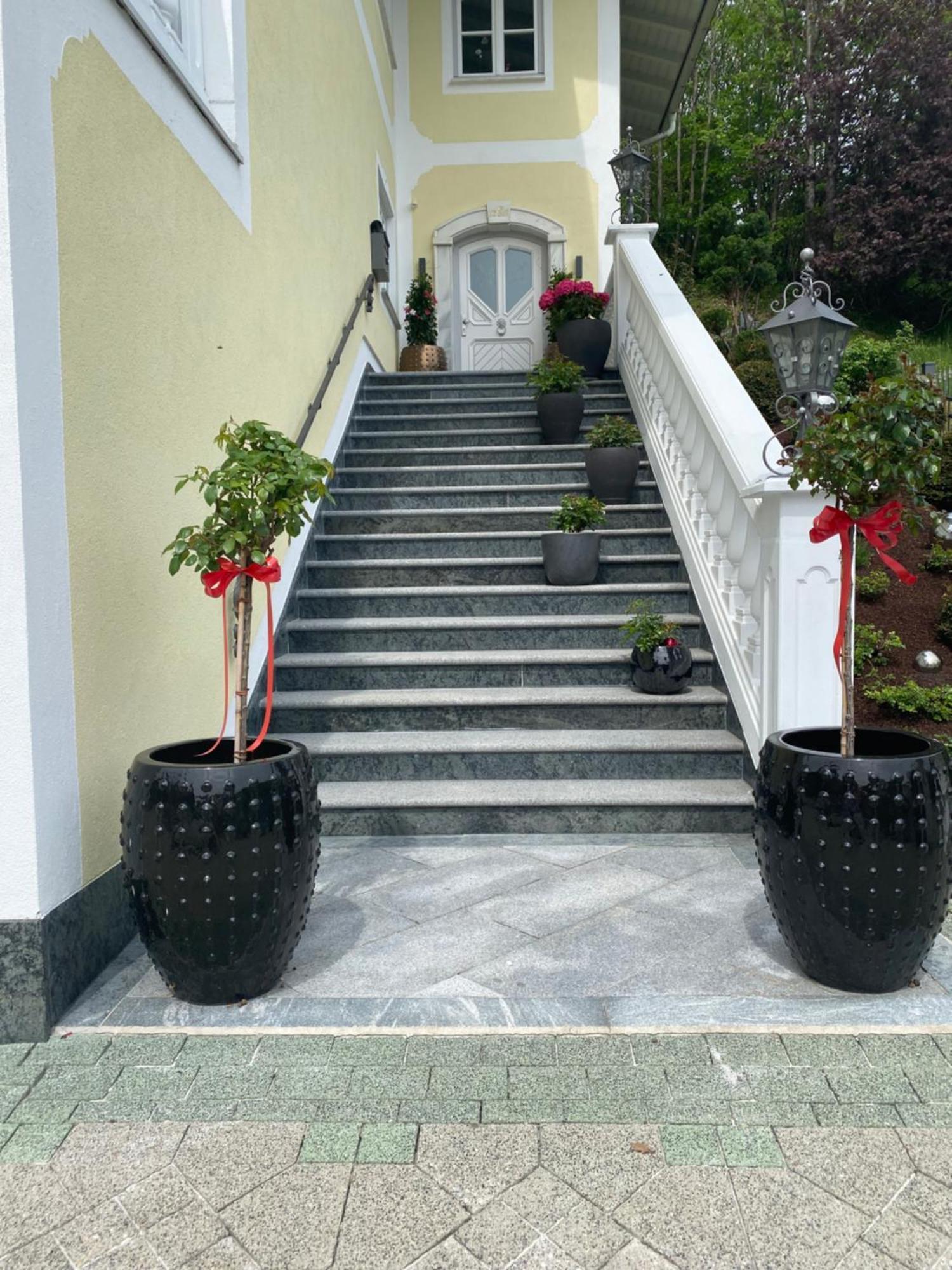 Appartement Bergblick I Faistenau Exteriör bild