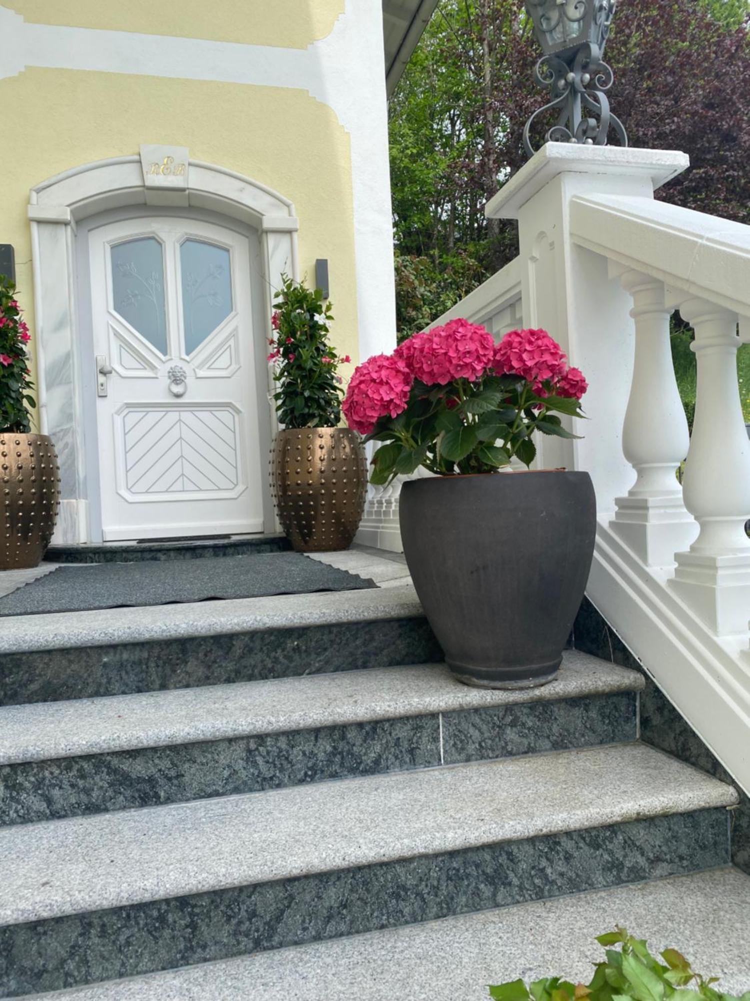 Appartement Bergblick I Faistenau Exteriör bild